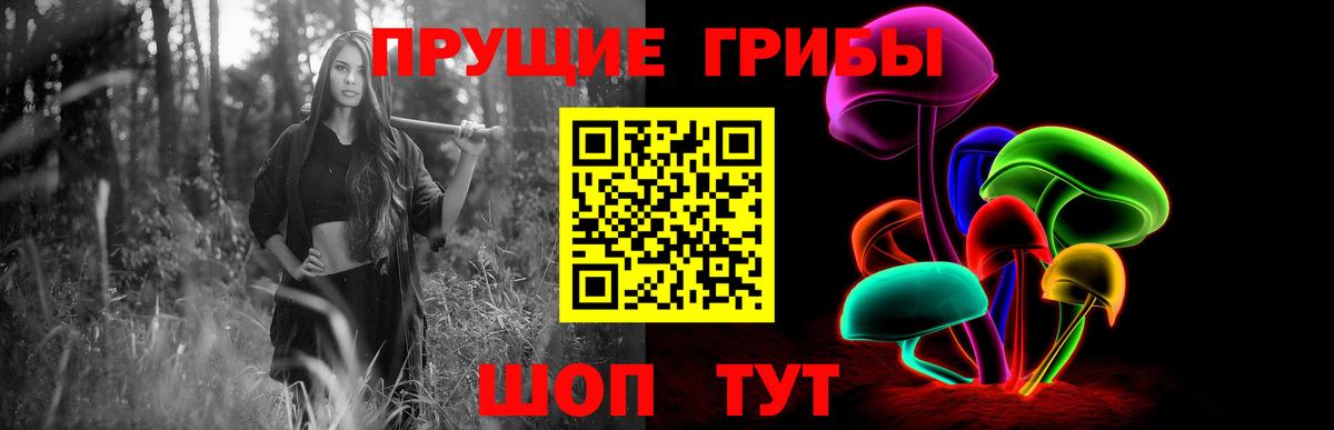 Псилоцибиновые грибы GOLDEN TEACHER Горно-Алтайск